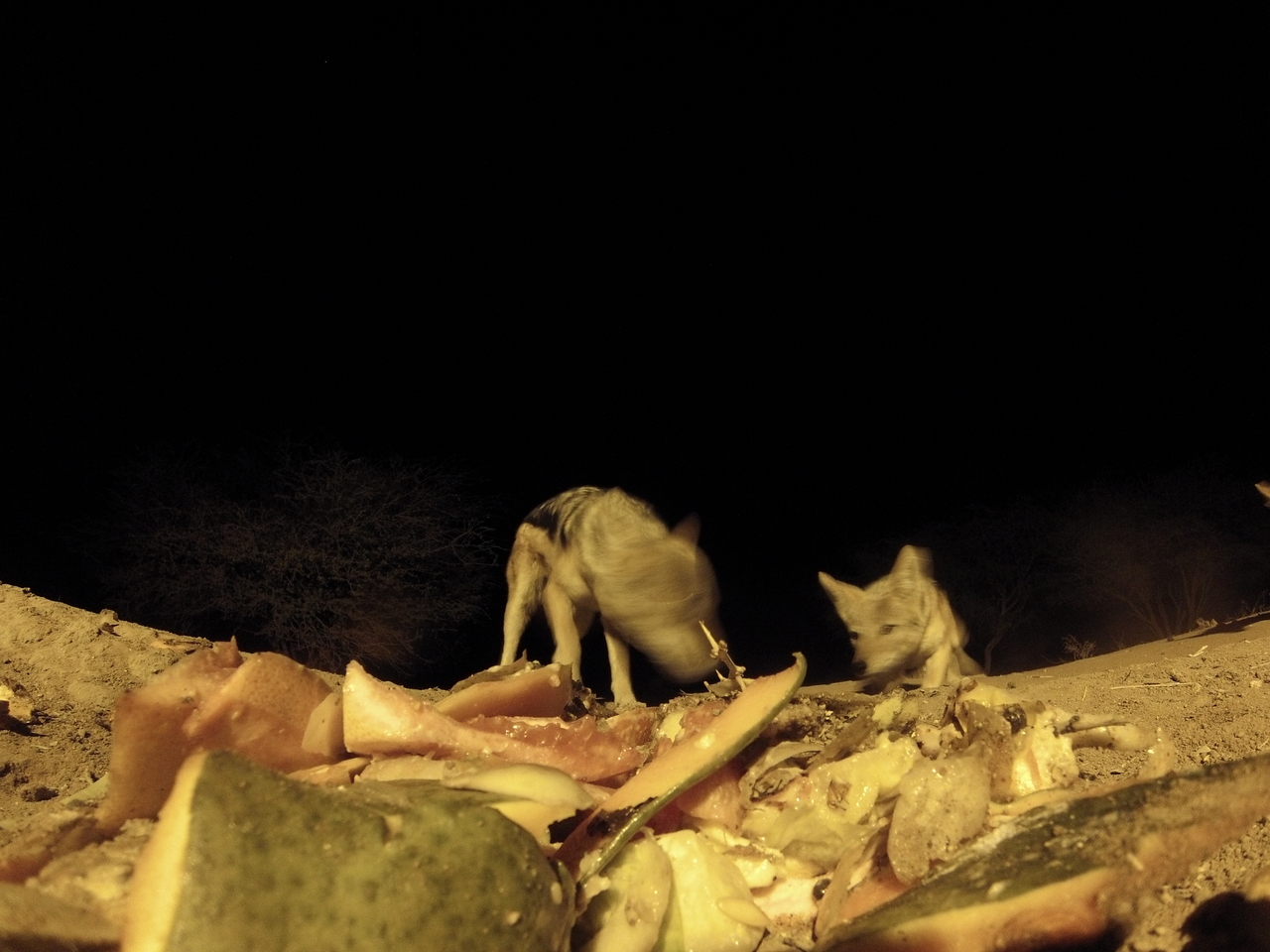 [9713] 2016_06_23_18_43_14_Africa_Hero3-Silver_Edition_IMG__00896.jpg