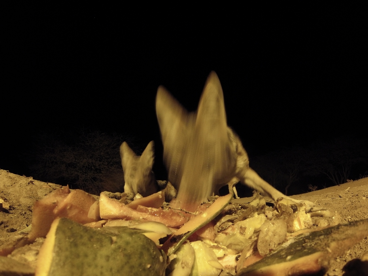 [9730] 2016_06_23_18_43_38_Africa_Hero3-Silver_Edition_IMG__00457.jpg