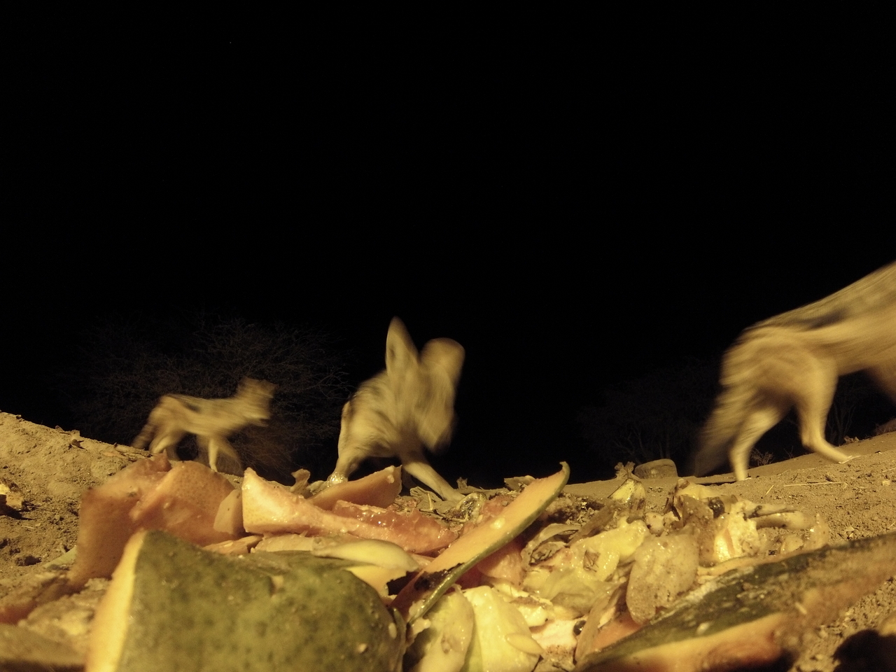 [9740] 2016_06_23_18_43_48_Africa_Hero3-Silver_Edition_IMG__00462.jpg