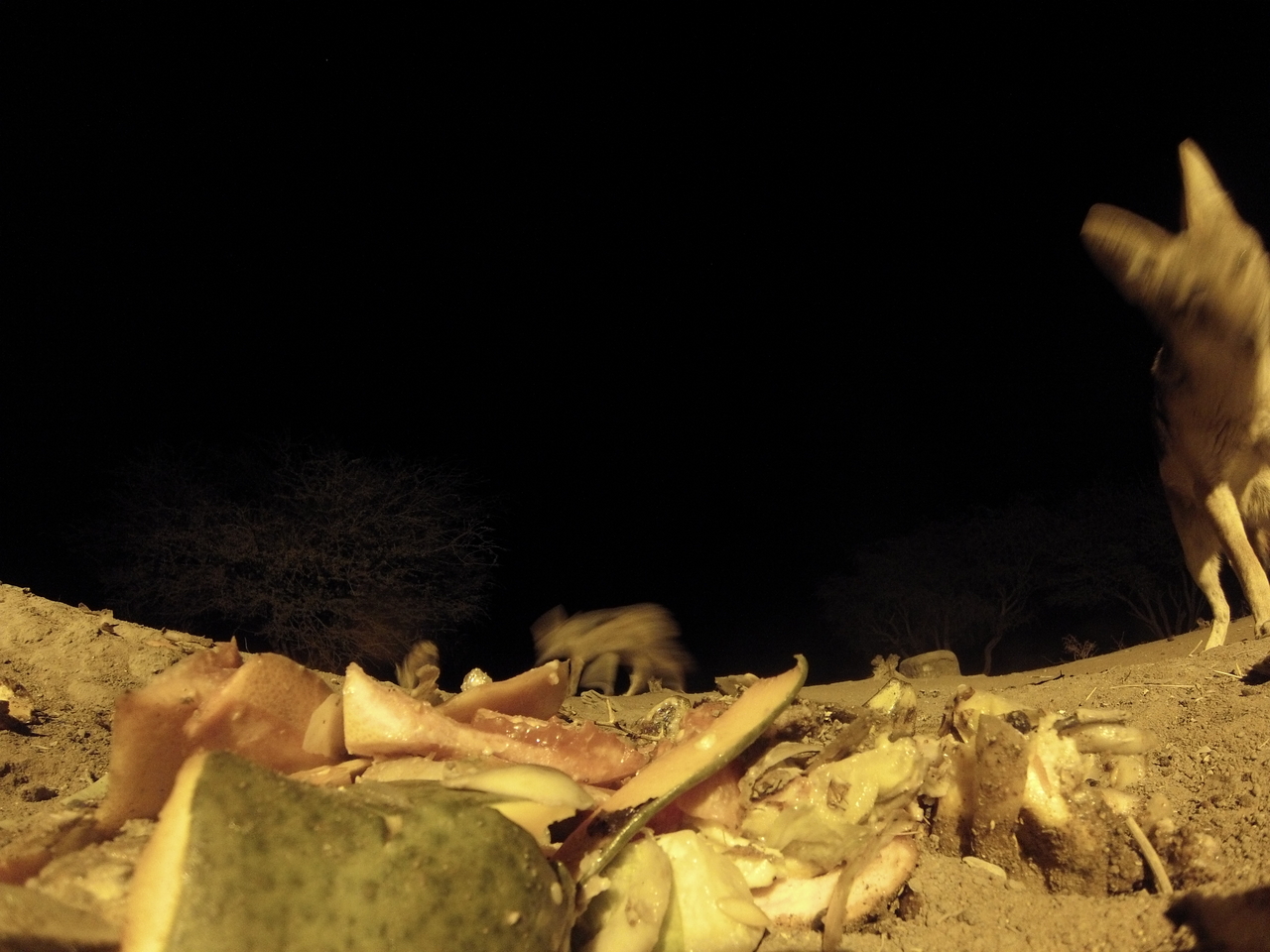 [9749] 2016_06_23_18_43_58_Africa_Hero3-Silver_Edition_IMG__00914.jpg