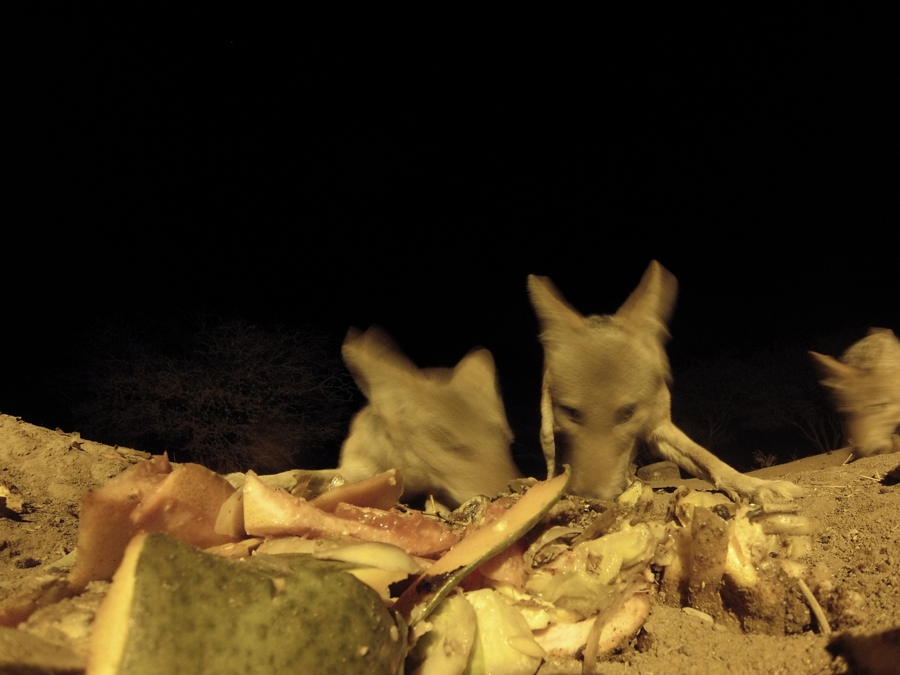 [9752] 2016_06_23_18_44_04_Africa_Hero3-Silver_Edition_IMG__00468.jpg