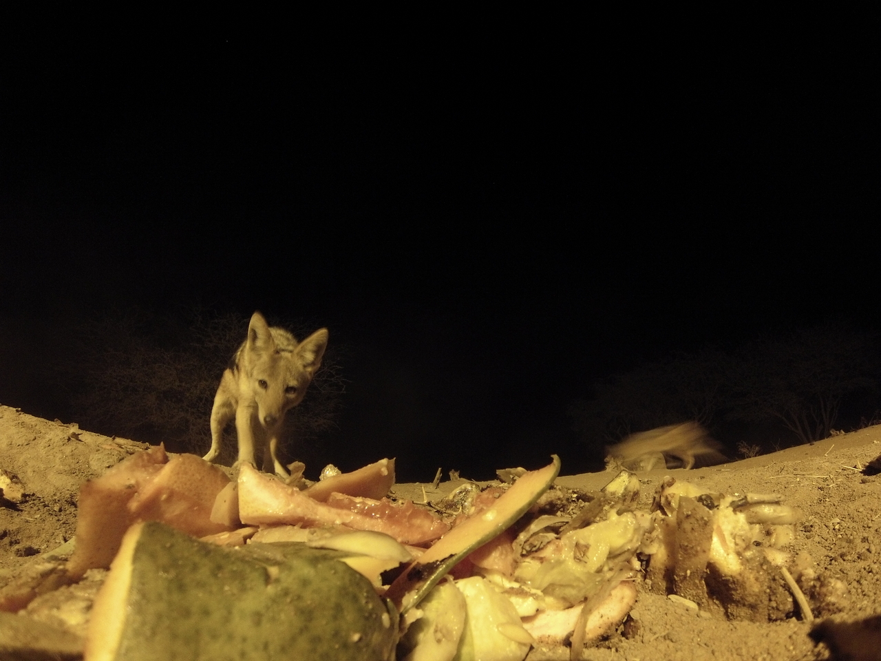 [9760] 2016_06_23_18_44_16_Africa_Hero3-Silver_Edition_IMG__00472.jpg