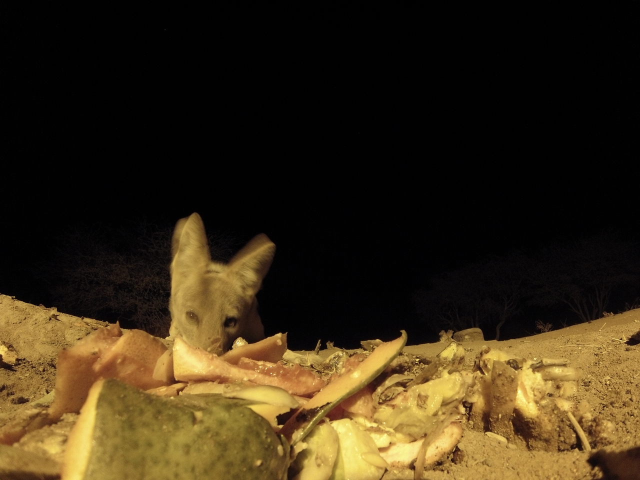 [9766] 2016_06_23_18_44_24_Africa_Hero3-Silver_Edition_IMG__00475.jpg