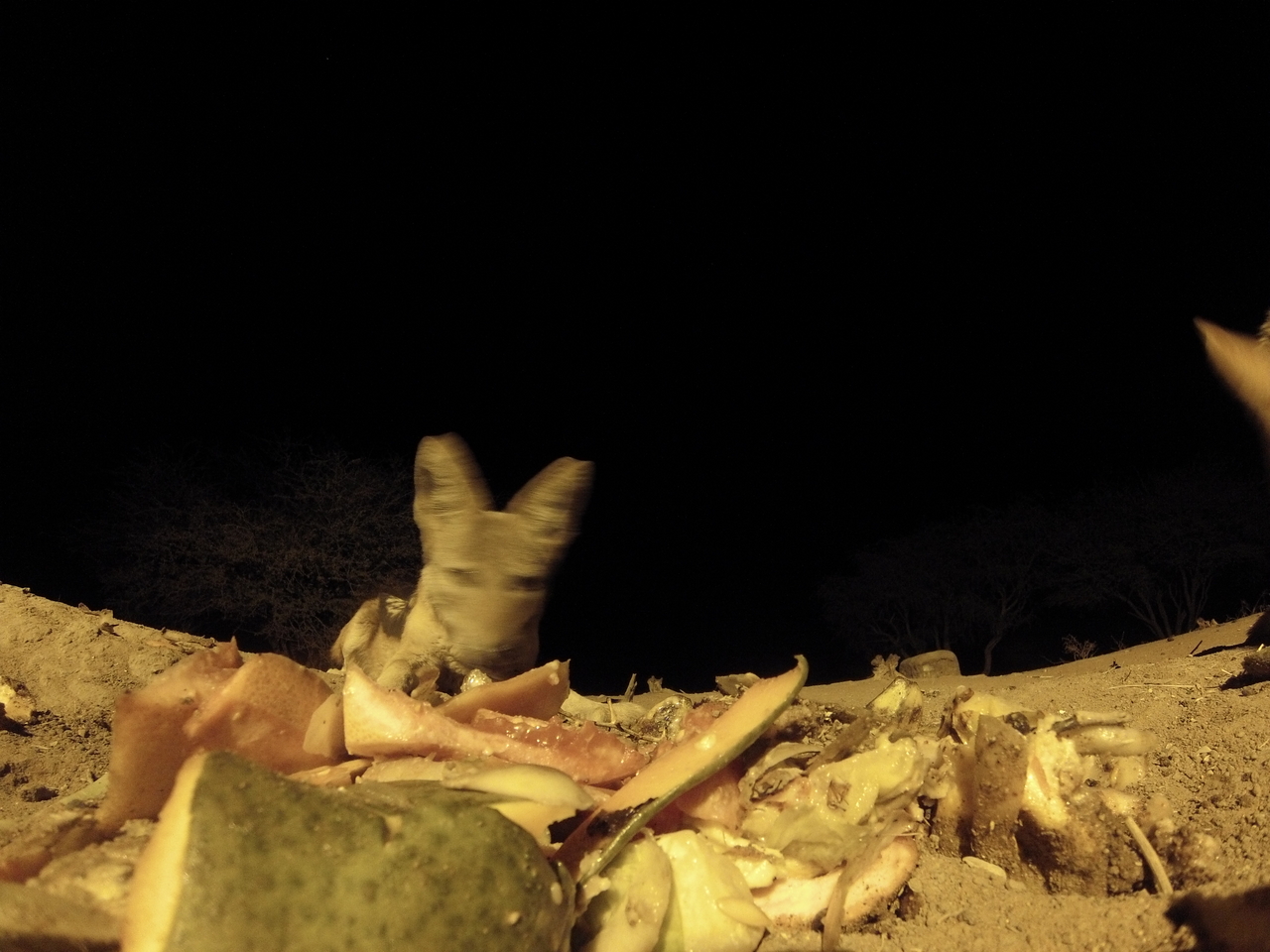 [9768] 2016_06_23_18_44_28_Africa_Hero3-Silver_Edition_IMG__00476.jpg