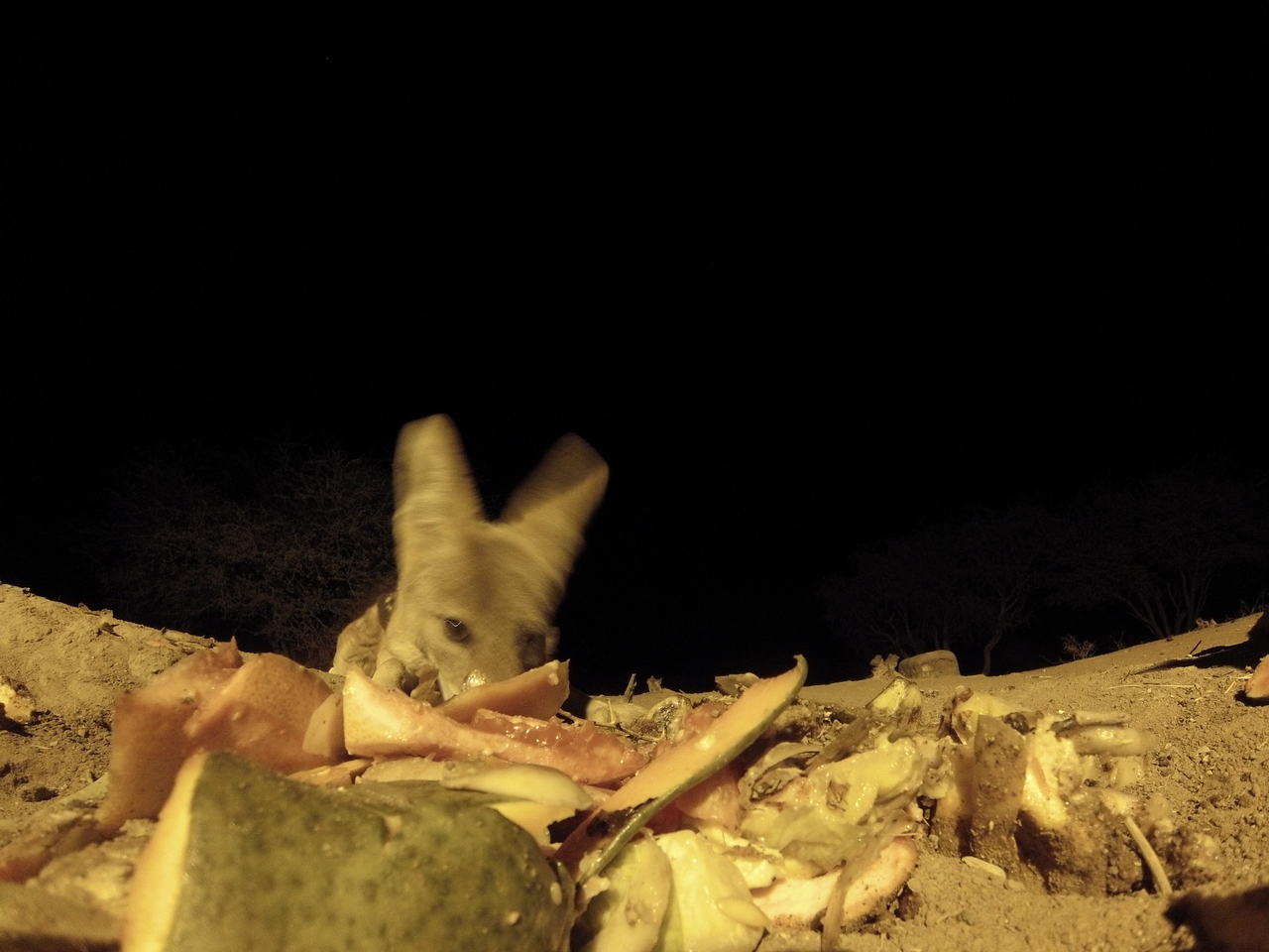 [9773] 2016_06_23_18_44_32_Africa_Hero3-Silver_Edition_IMG__00926.jpg