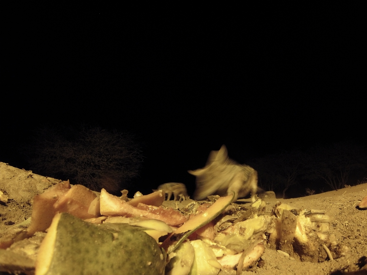 [9777] 2016_06_23_18_44_38_Africa_Hero3-Silver_Edition_IMG__00928.jpg