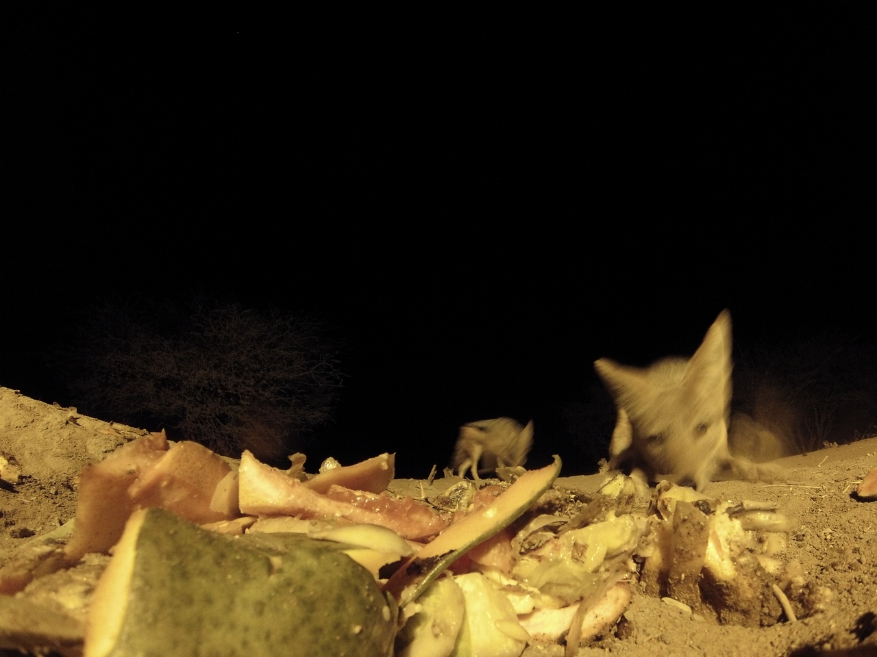 [9779] 2016_06_23_18_44_40_Africa_Hero3-Silver_Edition_IMG__00929.jpg