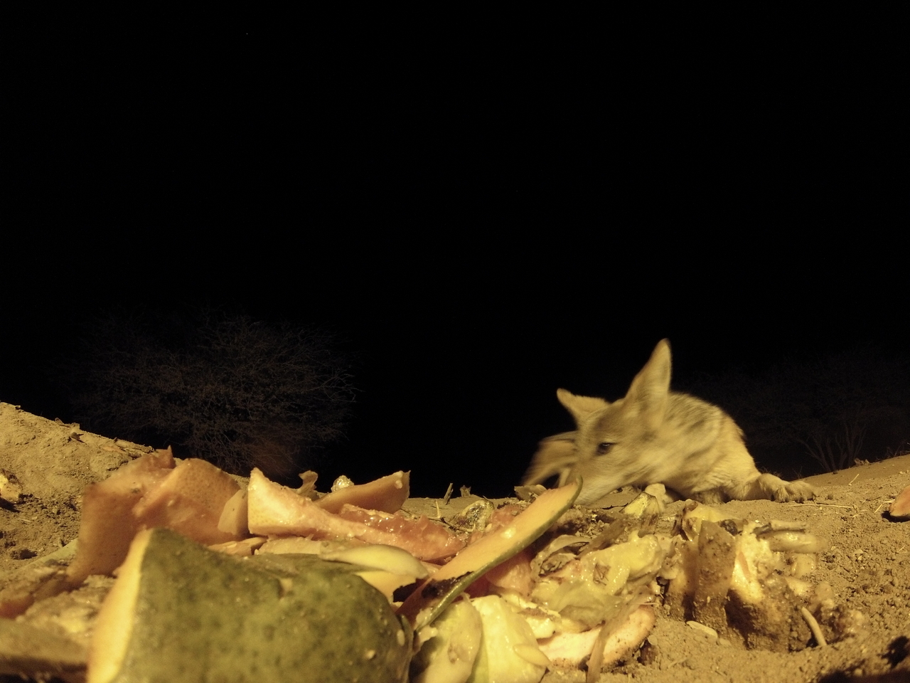 [9780] 2016_06_23_18_44_42_Africa_Hero3-Silver_Edition_IMG__00482.jpg