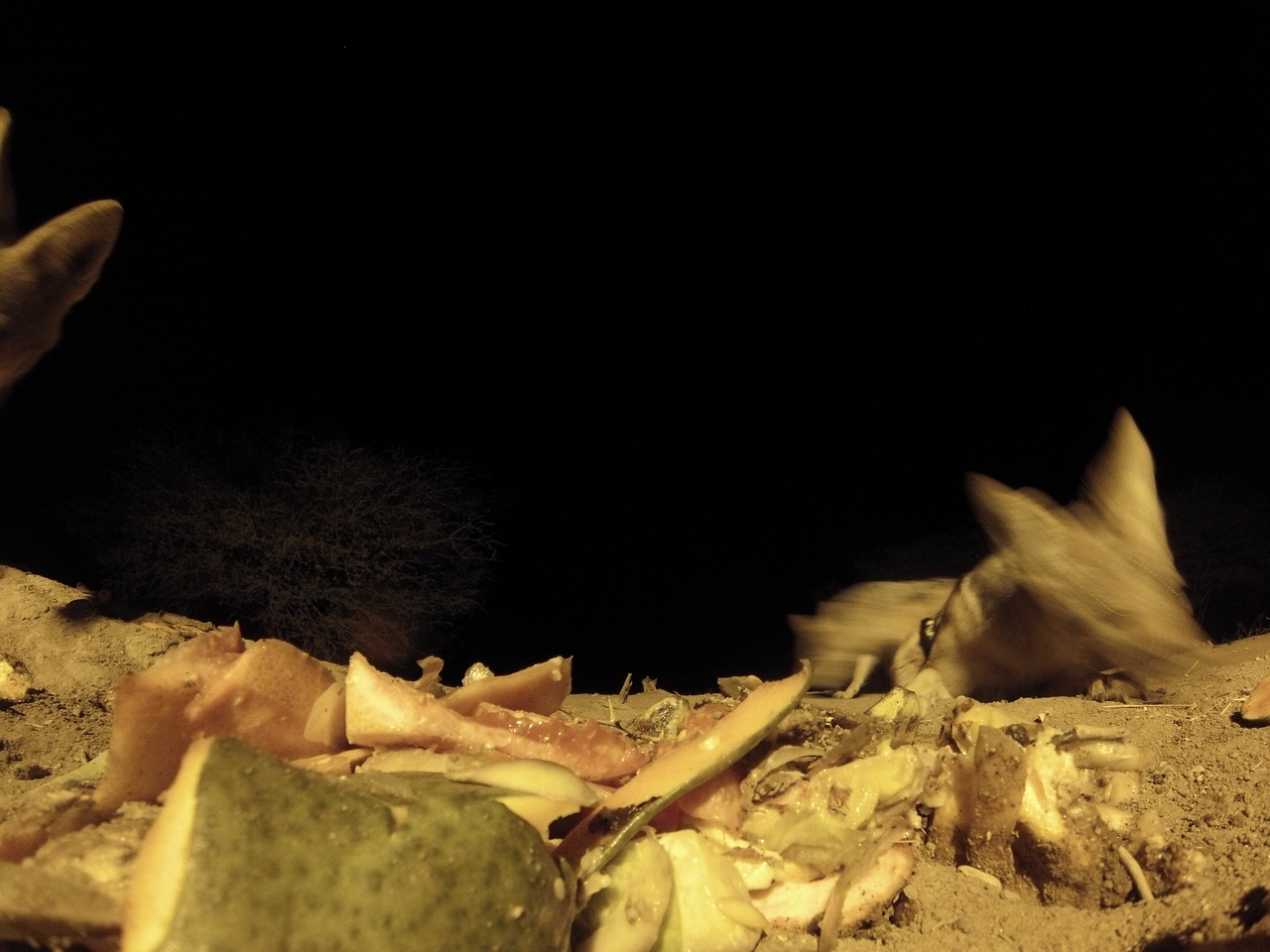 [9782] 2016_06_23_18_44_44_Africa_Hero3-Silver_Edition_IMG__00483.jpg