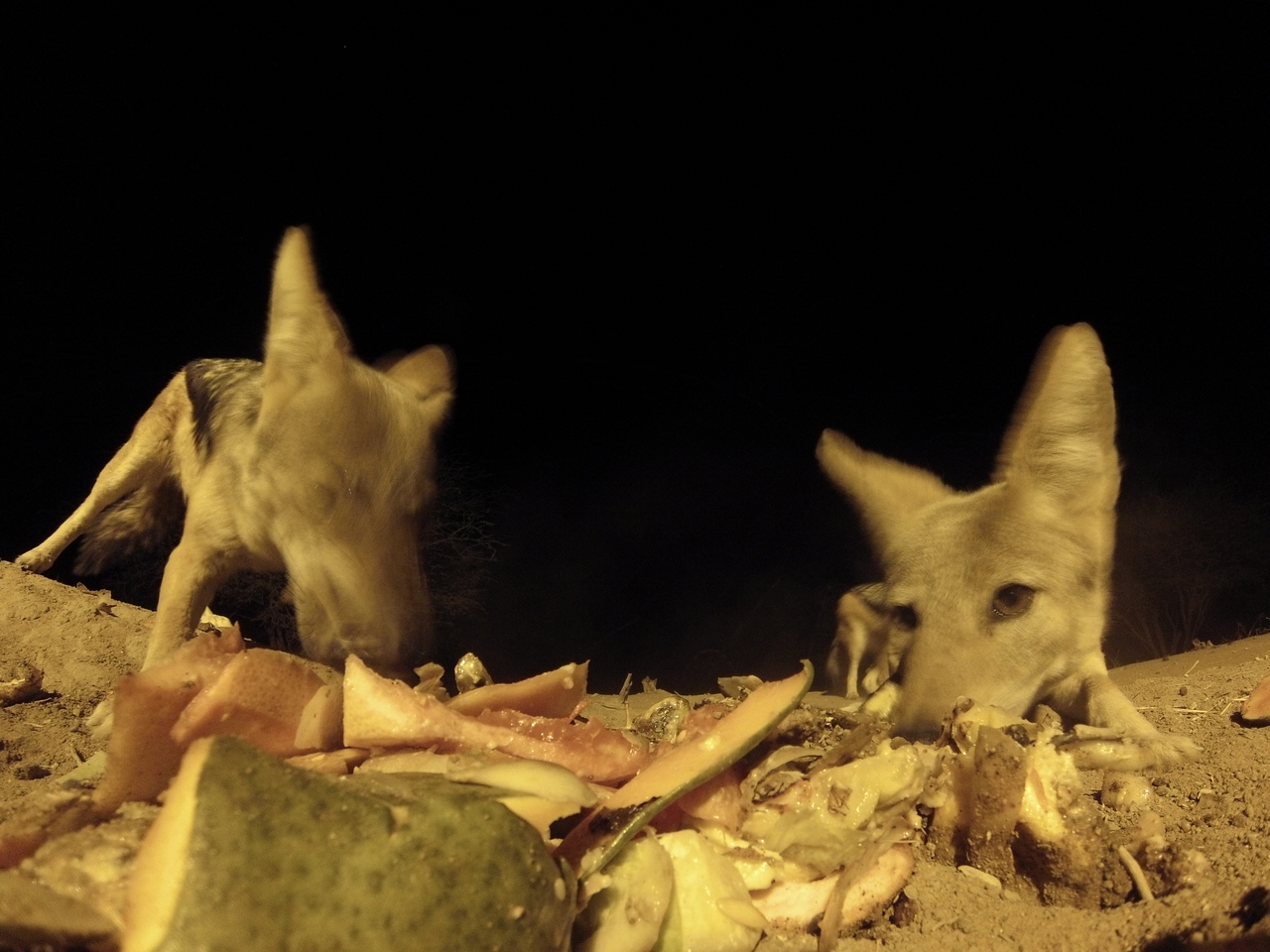 [9789] 2016_06_23_18_44_52_Africa_Hero3-Silver_Edition_IMG__00934.jpg