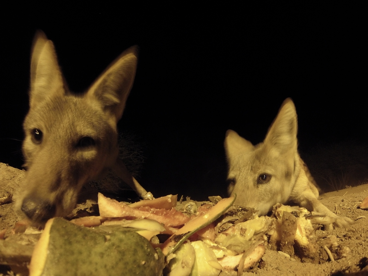 [9794] 2016_06_23_18_45_00_Africa_Hero3-Silver_Edition_IMG__00489.jpg