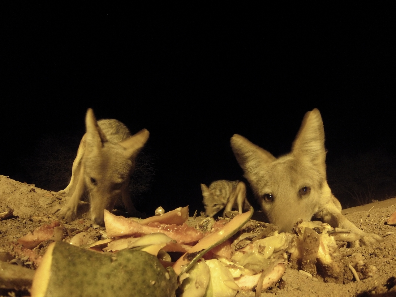 [9796] 2016_06_23_18_45_02_Africa_Hero3-Silver_Edition_IMG__00490.jpg