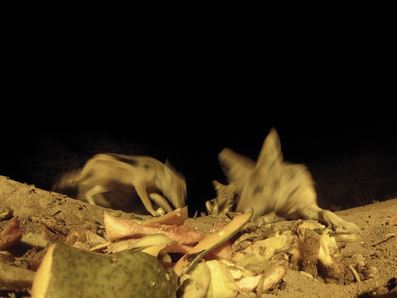 [9805] 2016_06_23_18_45_12_Africa_Hero3-Silver_Edition_IMG__00942.jpg