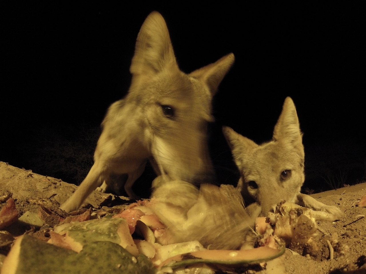 [9815] 2016_06_23_18_45_23_Africa_Hero3-Silver_Edition_IMG__00947.jpg