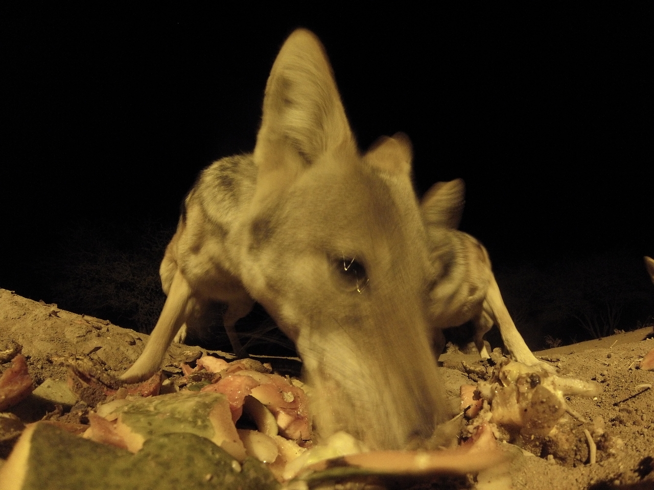 [9821] 2016_06_23_18_45_31_Africa_Hero3-Silver_Edition_IMG__00950.jpg