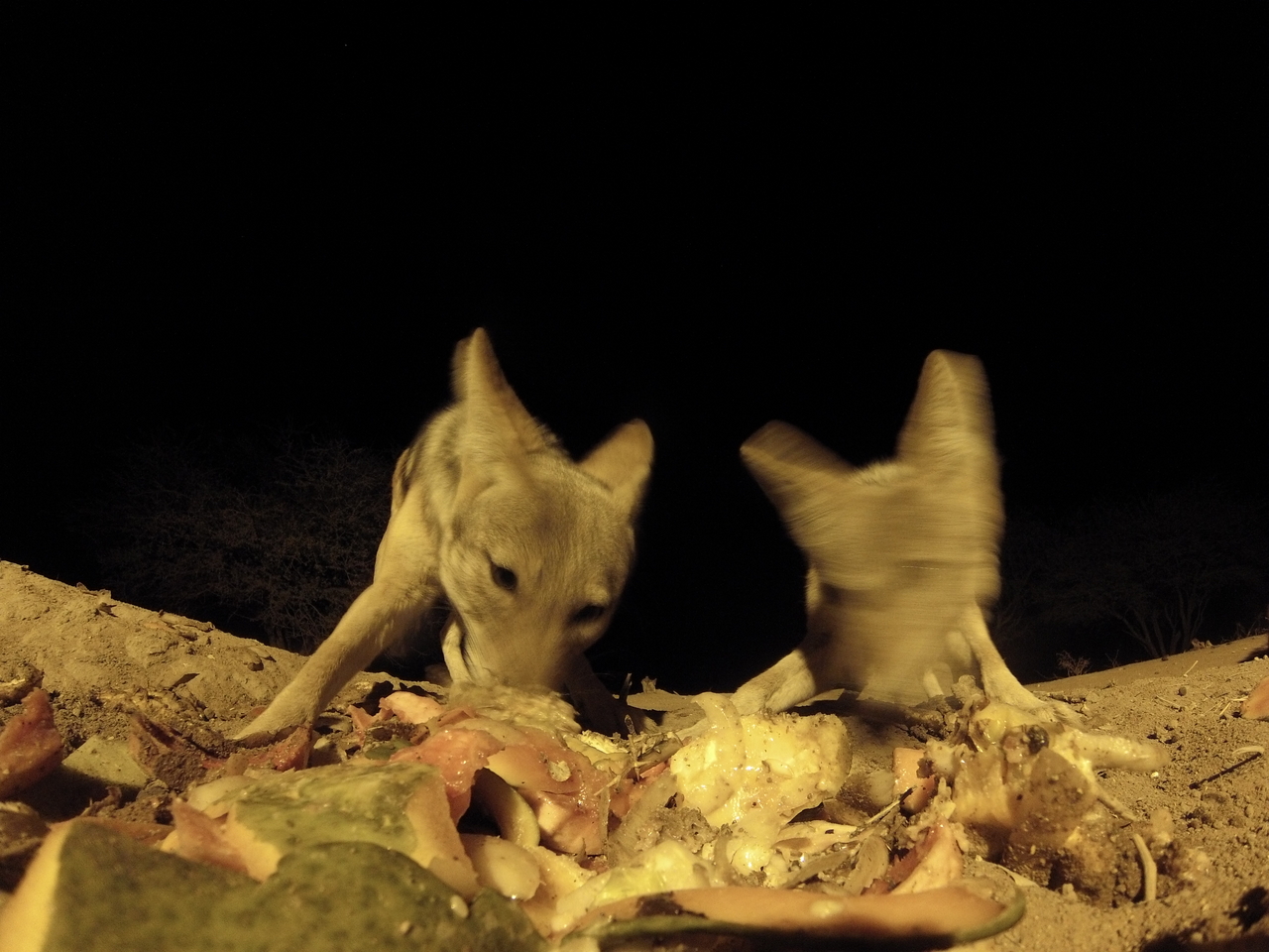 [9822] 2016_06_23_18_45_34_Africa_Hero3-Silver_Edition_IMG__00503.jpg