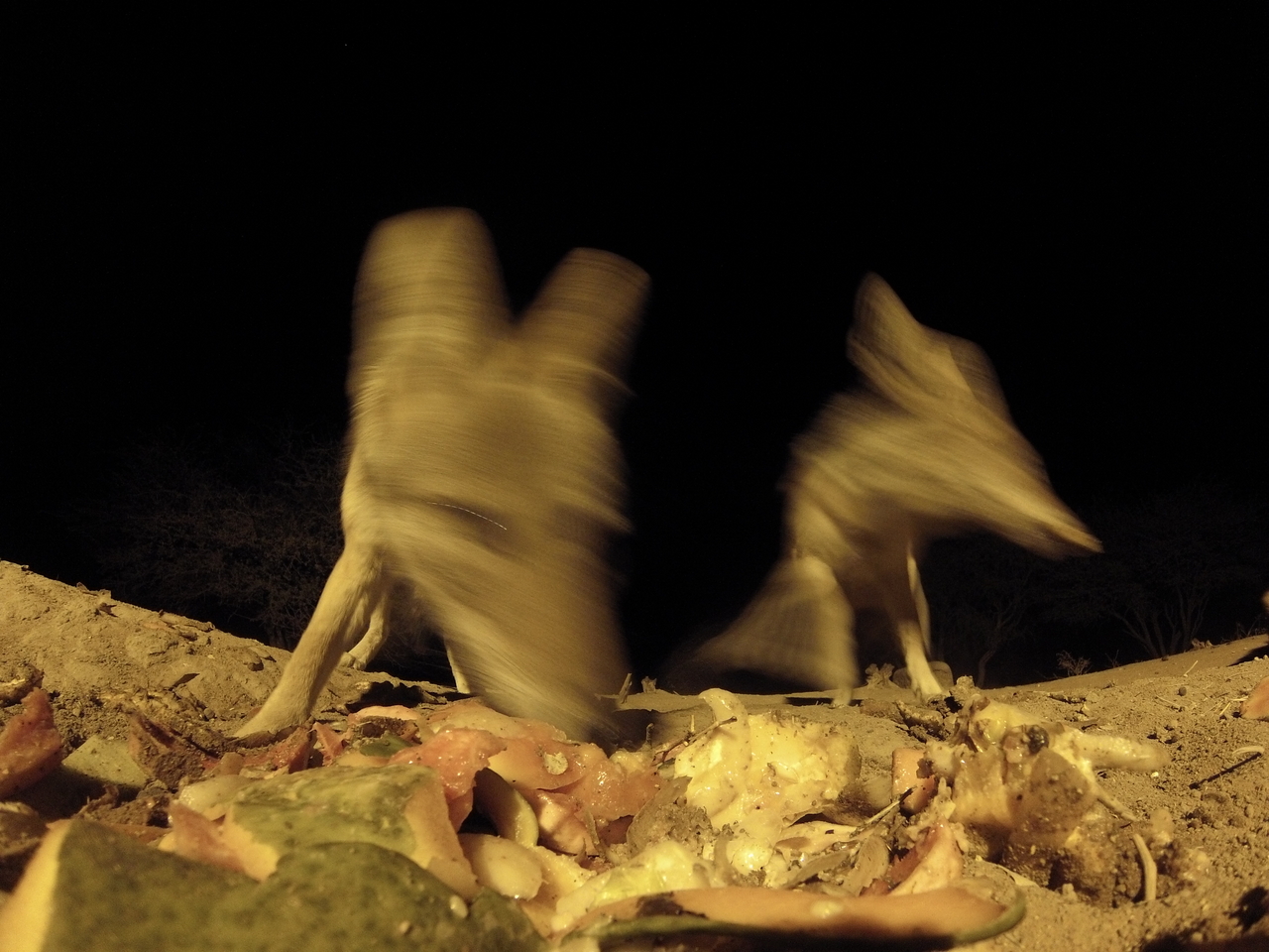 [9824] 2016_06_23_18_45_38_Africa_Hero3-Silver_Edition_IMG__00504.jpg