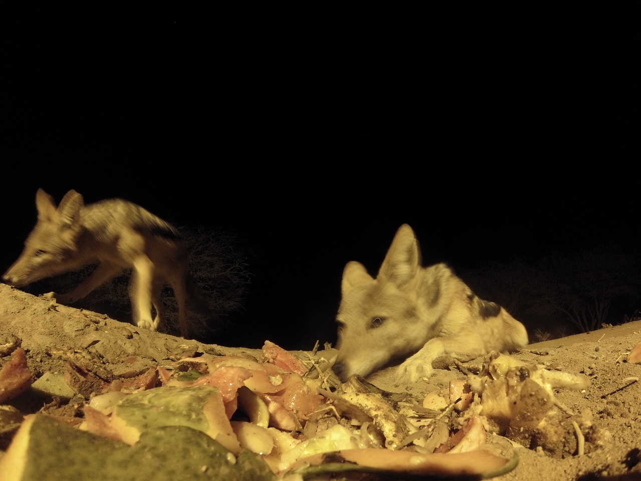 [9835] 2016_06_23_18_45_54_Africa_Hero3-Silver_Edition_IMG__00957.jpg