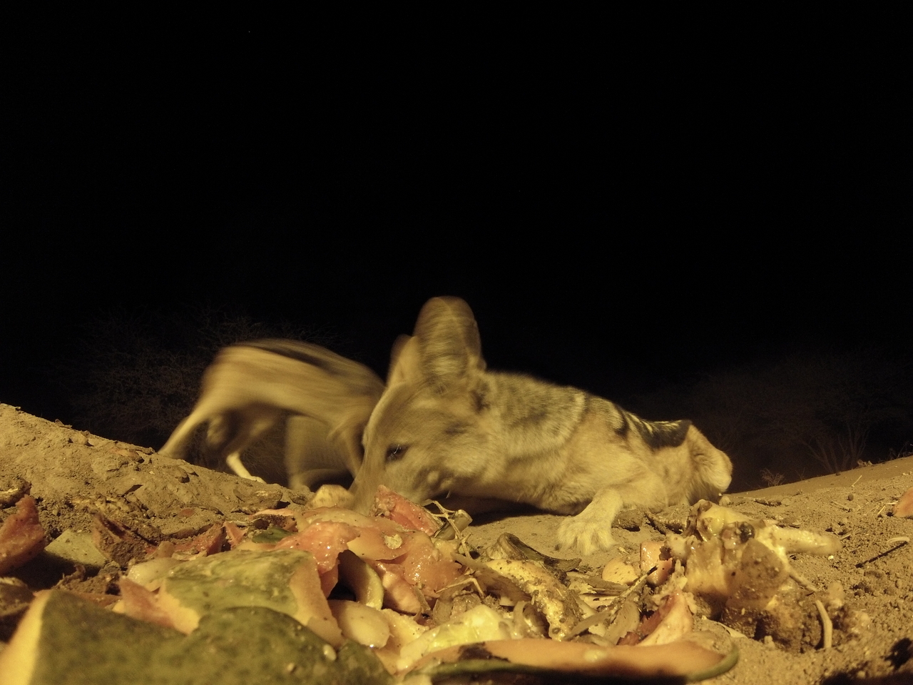 [9839] 2016_06_23_18_45_58_Africa_Hero3-Silver_Edition_IMG__00959.jpg