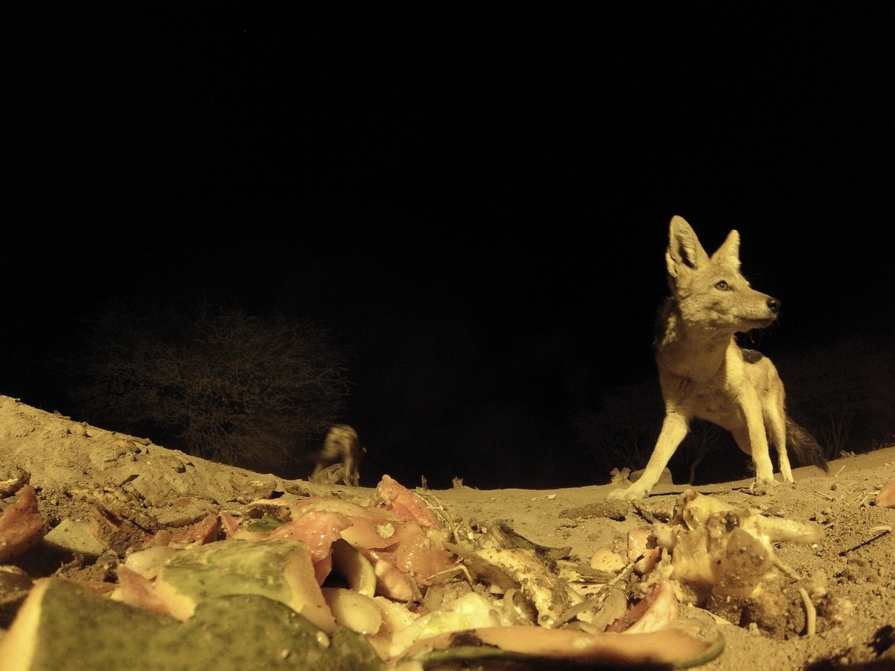 [9852] 2016_06_23_18_46_13_Africa_Hero3-Silver_Edition_IMG__00964.jpg