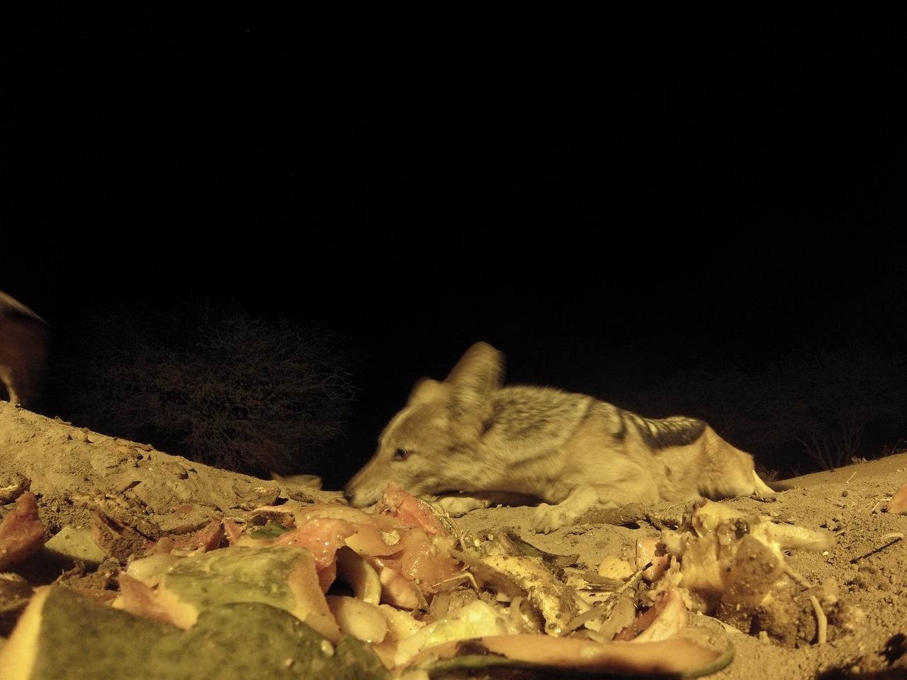 [9855] 2016_06_23_18_46_20_Africa_Hero3-Silver_Edition_IMG__00518.jpg