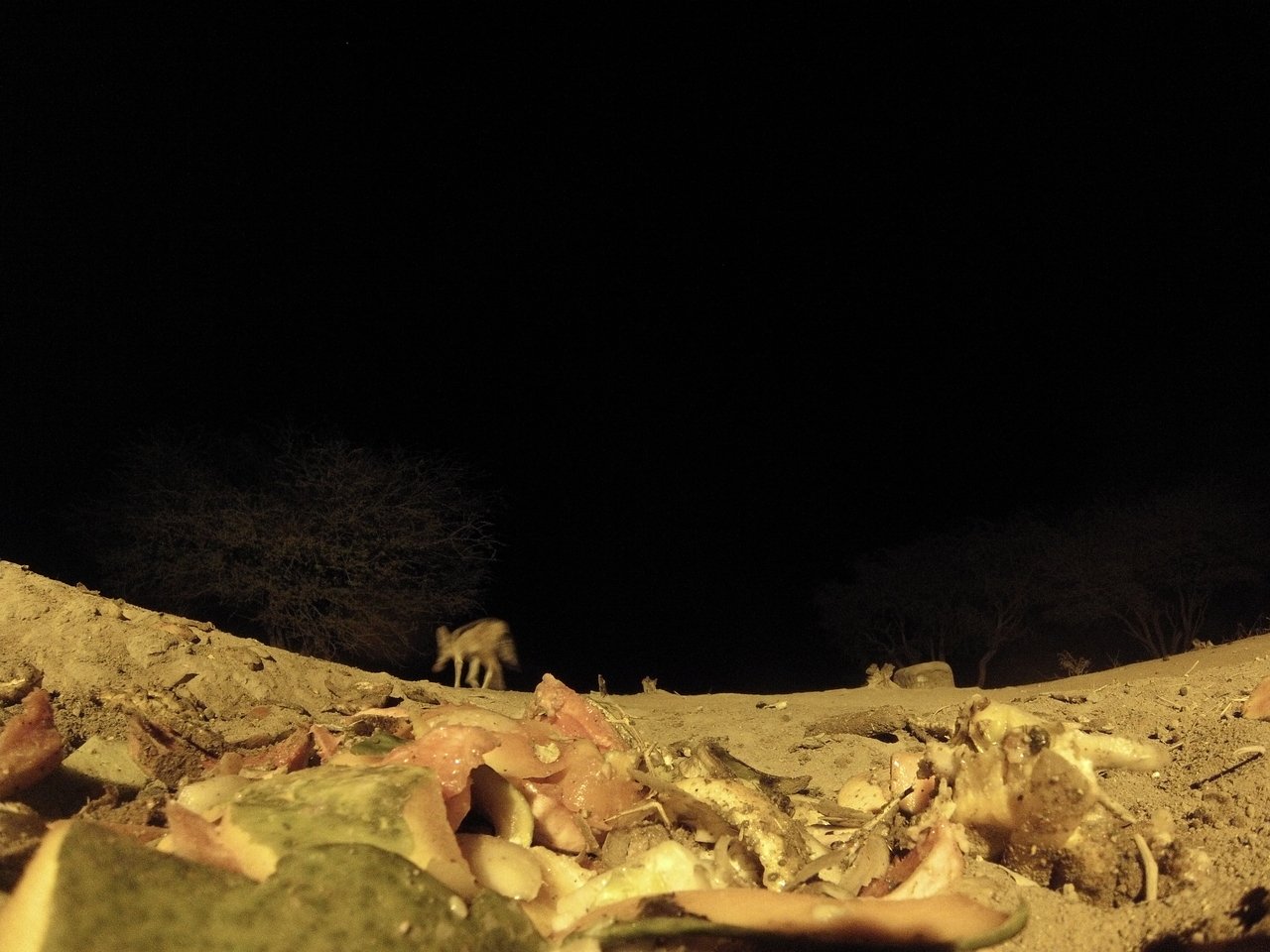 [9857] 2016_06_23_18_46_23_Africa_Hero3-Silver_Edition_IMG__00519.jpg