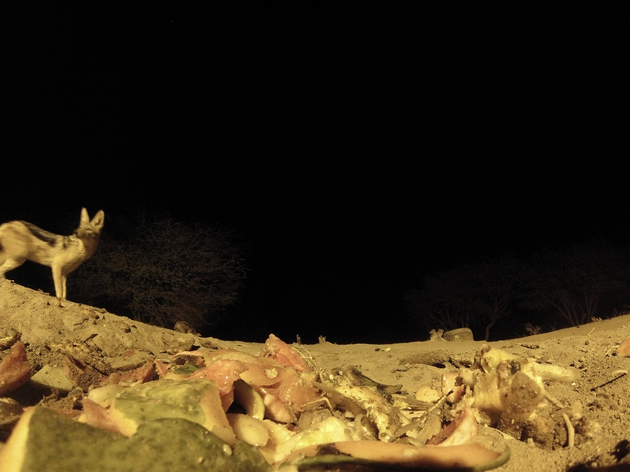 [9860] 2016_06_23_18_46_25_Africa_Hero3-Silver_Edition_IMG__00968.jpg