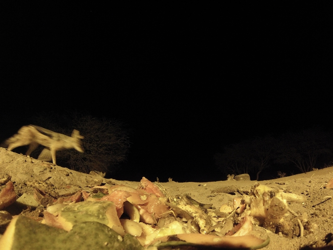 [9862] 2016_06_23_18_46_27_Africa_Hero3-Silver_Edition_IMG__00969.jpg