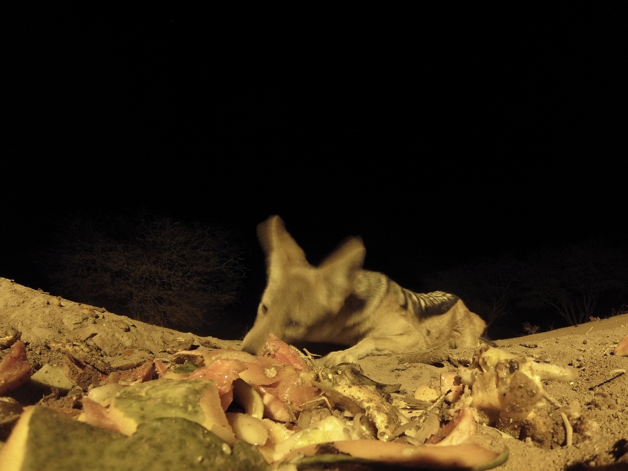 [9872] 2016_06_23_18_46_42_Africa_Hero3-Silver_Edition_IMG__00974.jpg