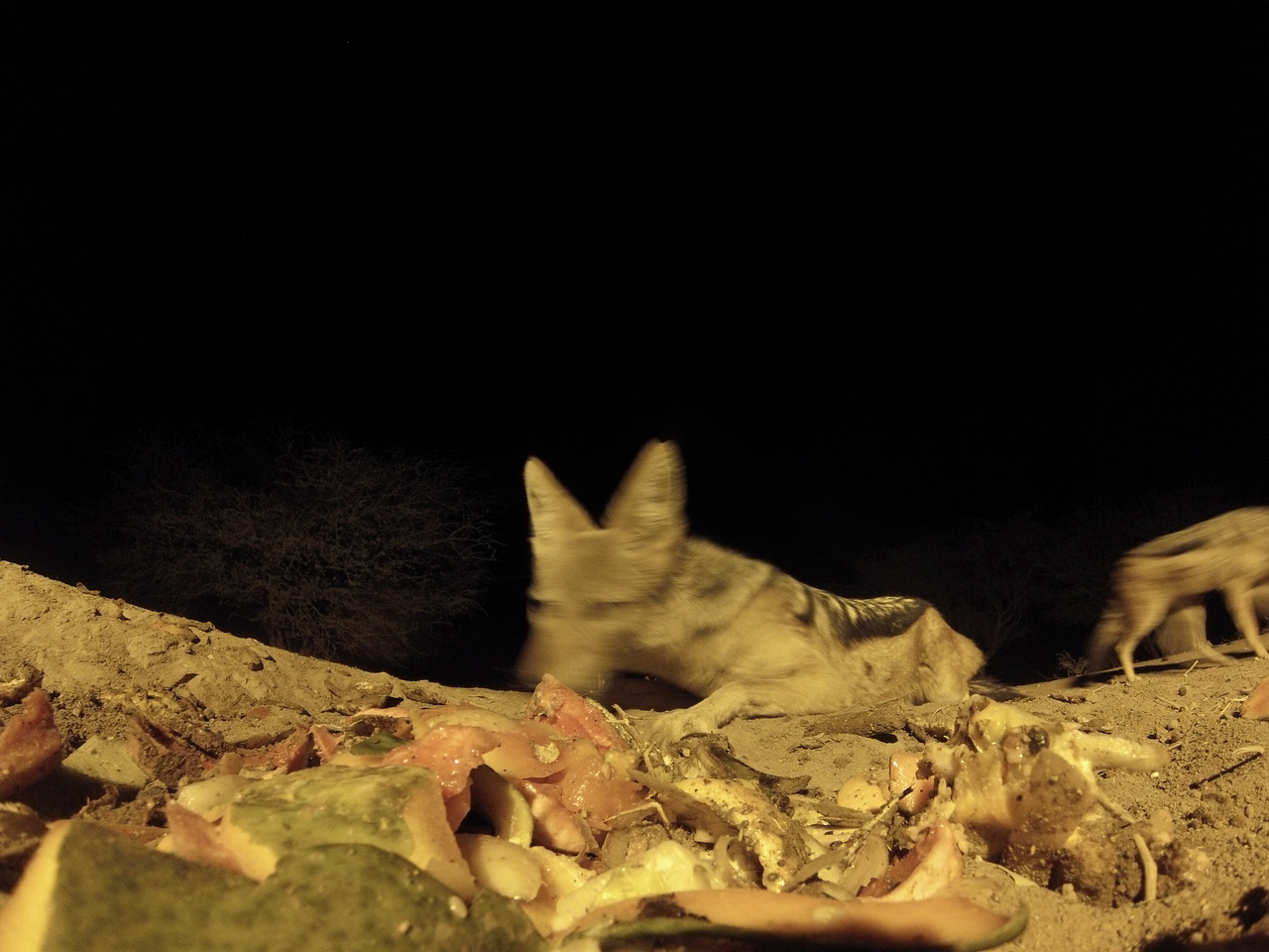 [9875] 2016_06_23_18_46_46_Africa_Hero3-Silver_Edition_IMG__00528.jpg