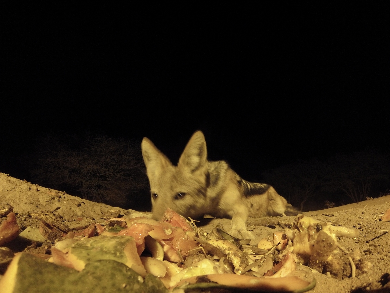 [9882] 2016_06_23_18_46_54_Africa_Hero3-Silver_Edition_IMG__00979.jpg