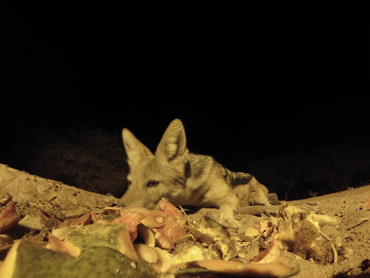 [9883] 2016_06_23_18_46_56_Africa_Hero3-Silver_Edition_IMG__00532.jpg