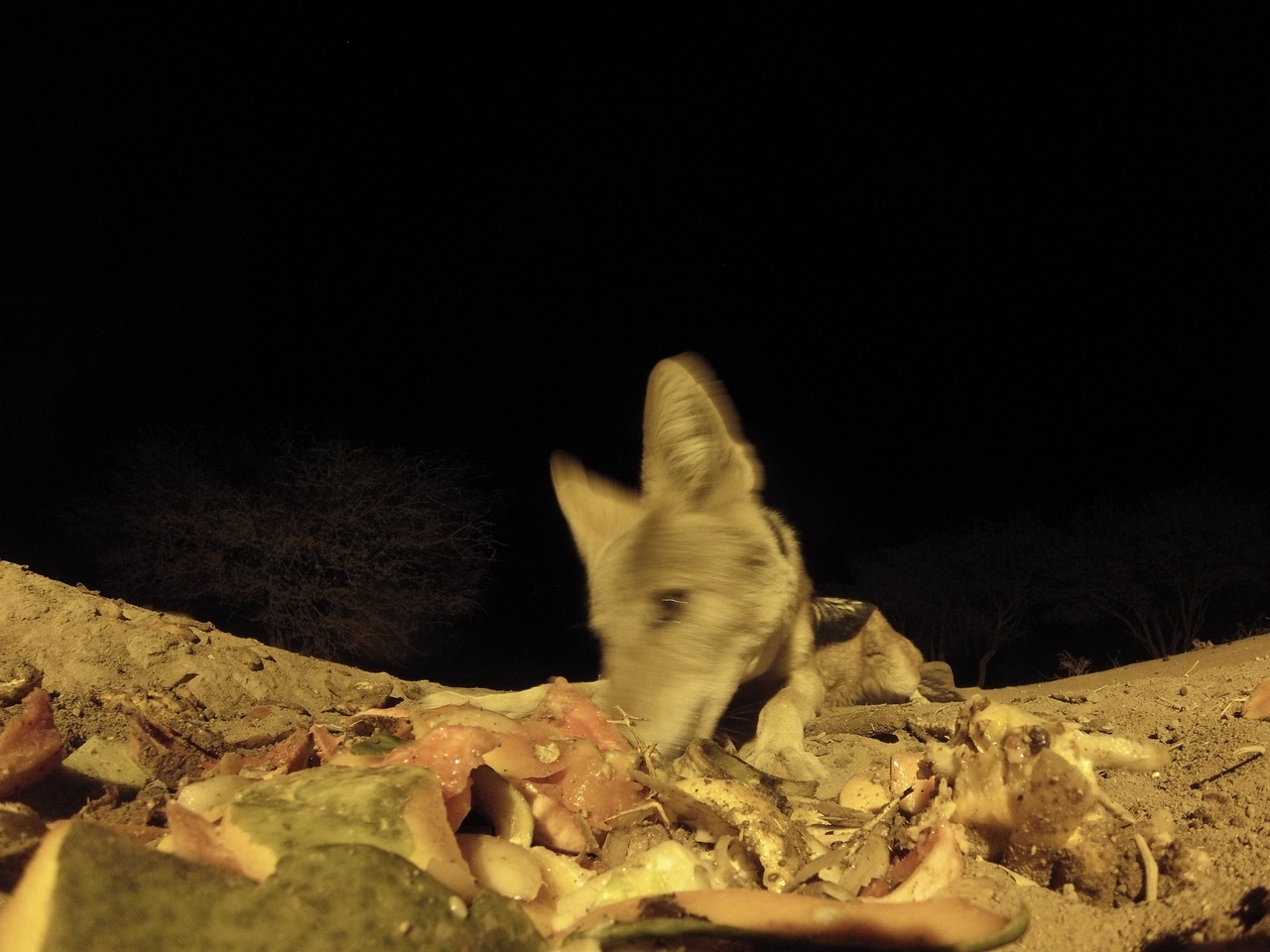 [9886] 2016_06_23_18_46_58_Africa_Hero3-Silver_Edition_IMG__00981.jpg