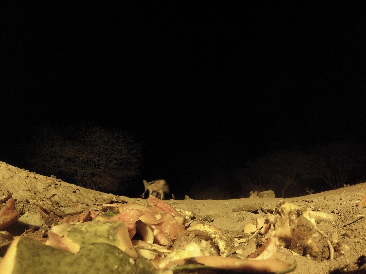 [9888] 2016_06_23_18_47_01_Africa_Hero3-Silver_Edition_IMG__00982.jpg