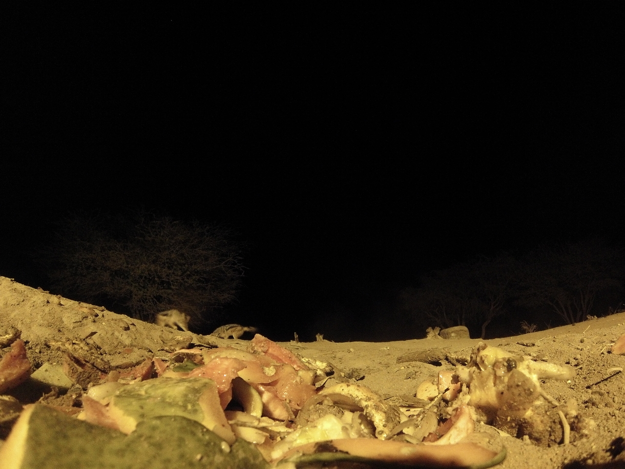 [9889] 2016_06_23_18_47_03_Africa_Hero3-Silver_Edition_IMG__00535.jpg