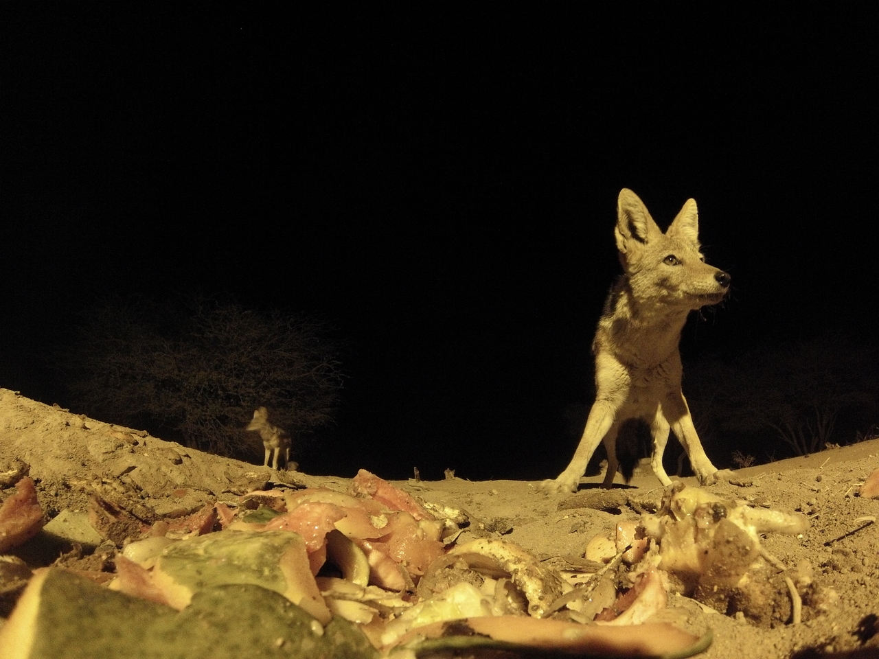 [9896] 2016_06_23_18_47_13_Africa_Hero3-Silver_Edition_IMG_8040_00619.jpg