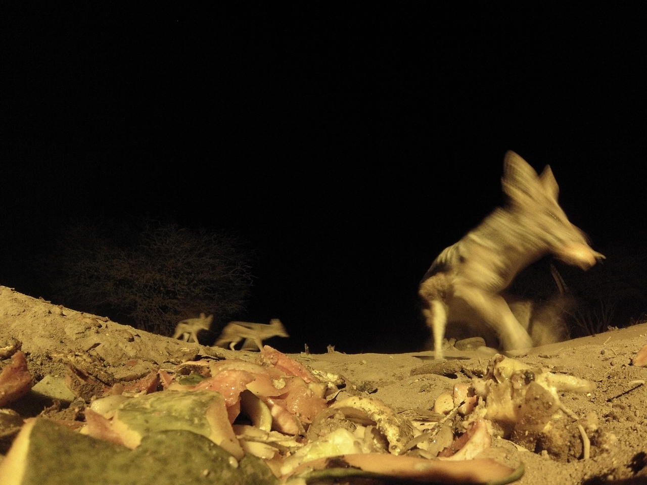 [9902] 2016_06_23_18_47_19_Africa_Hero3-Silver_Edition_IMG__00540.jpg