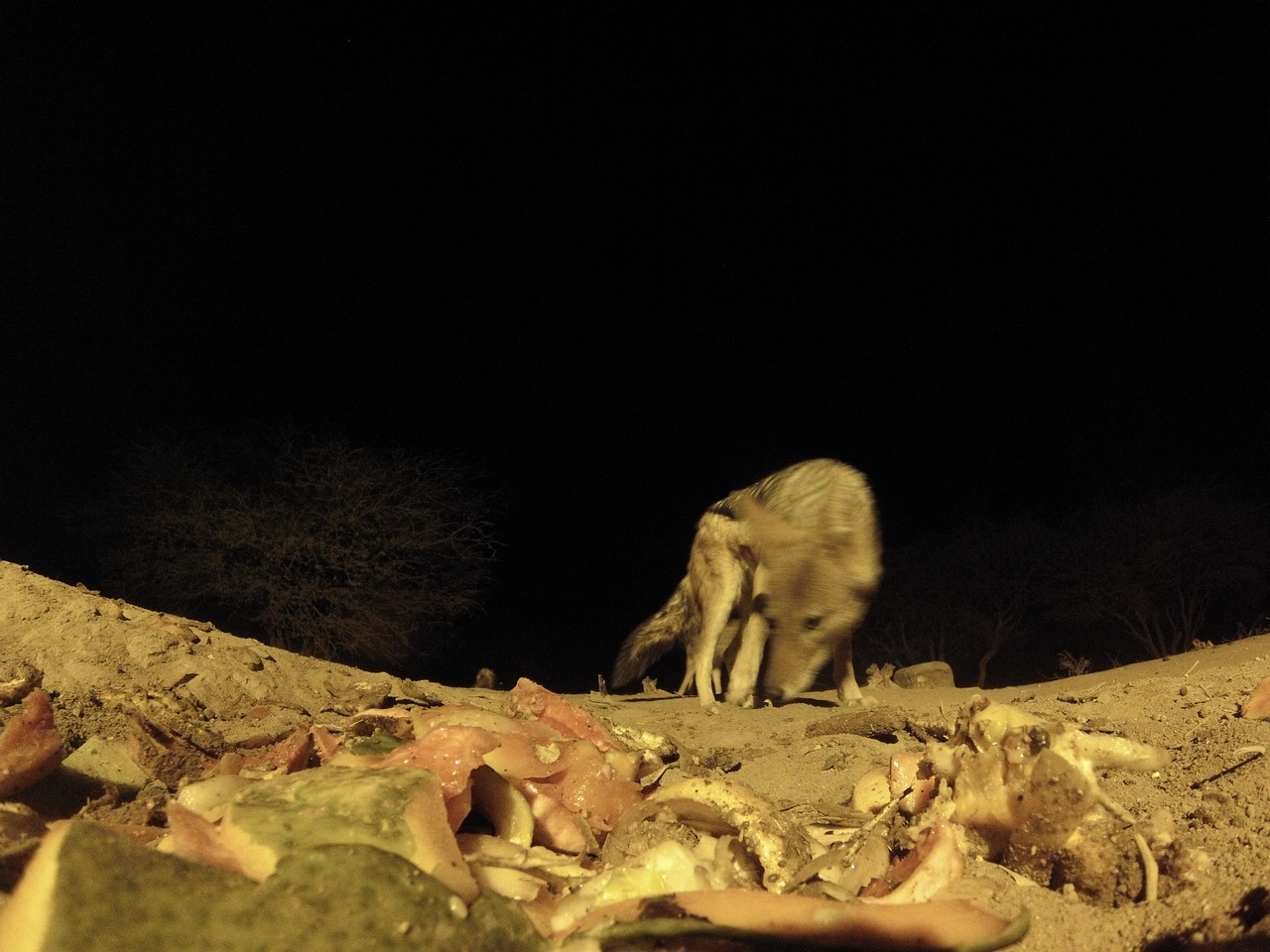 [9905] 2016_06_23_18_47_23_Africa_Hero3-Silver_Edition_IMG__00989.jpg