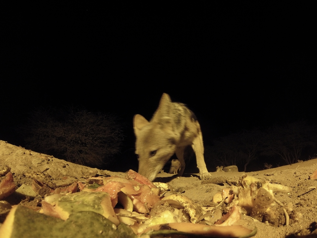 [9906] 2016_06_23_18_47_26_Africa_Hero3-Silver_Edition_IMG__00542.jpg