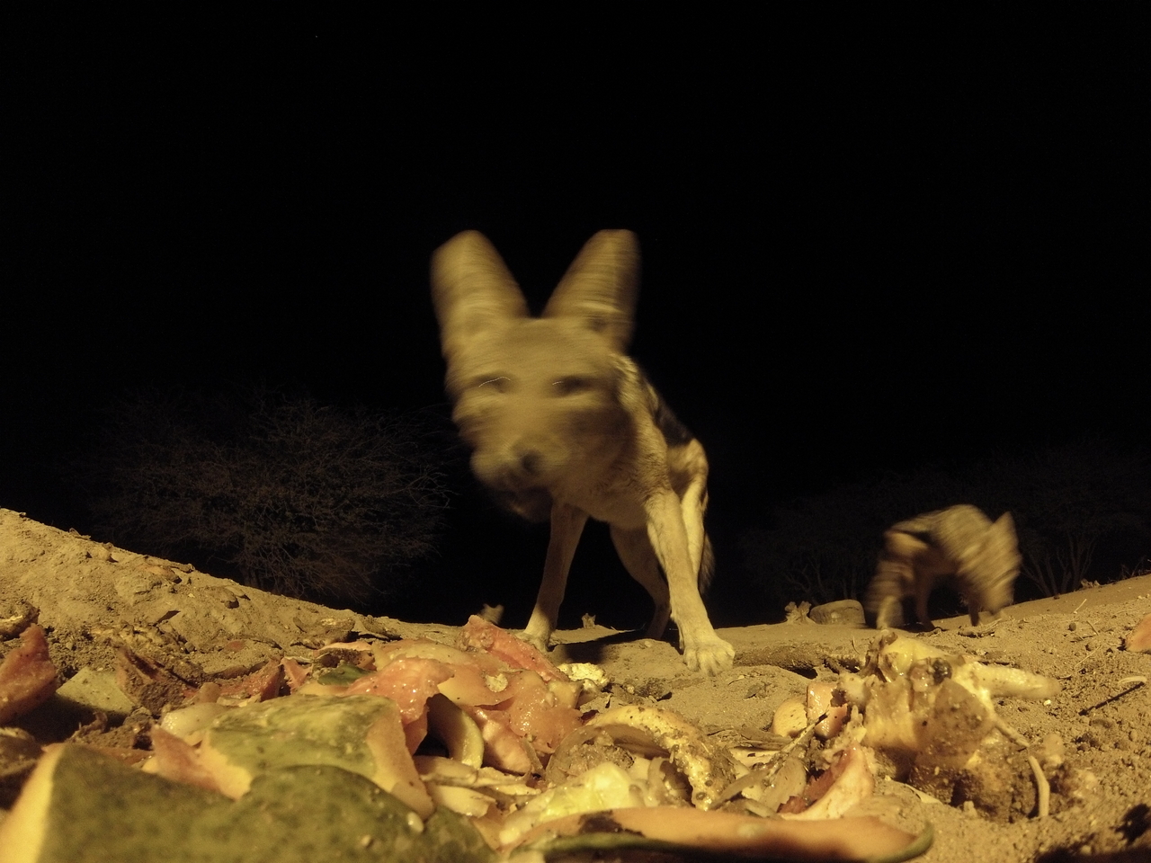 [9911] 2016_06_23_18_47_32_Africa_Hero3-Silver_Edition_IMG__00992.jpg