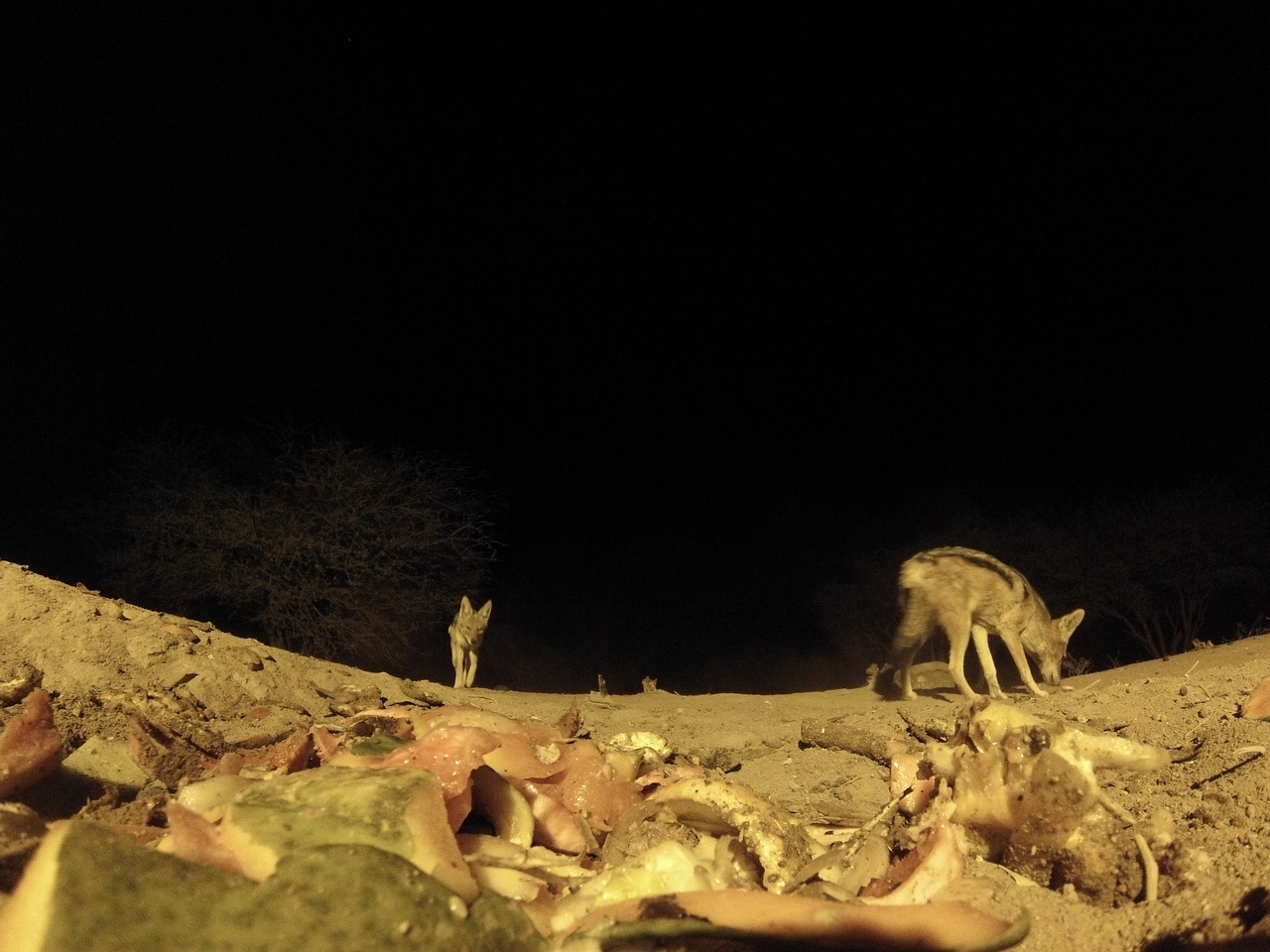 [9922] 2016_06_23_18_47_47_Africa_Hero3-Silver_Edition_IMG__00550.jpg