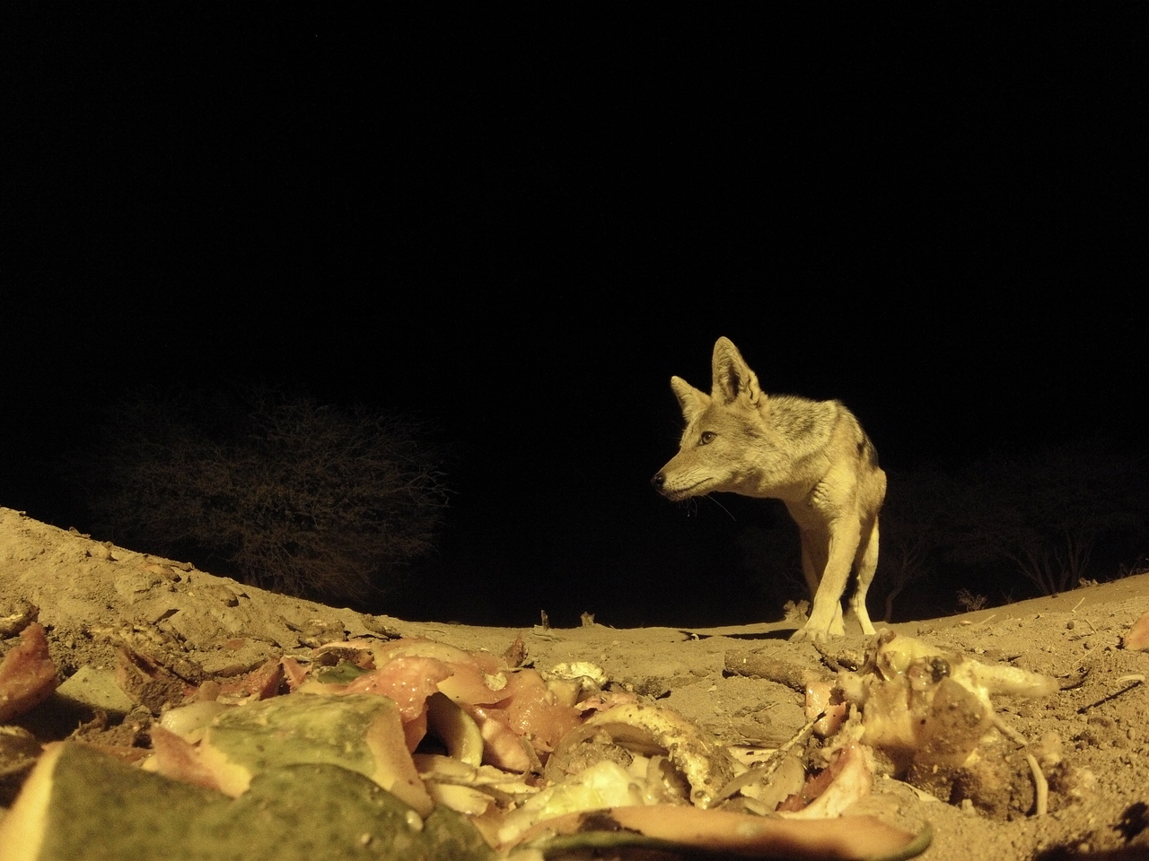 [9926] 2016_06_23_18_47_55_Africa_Hero3-Silver_Edition_IMG__00552.jpg