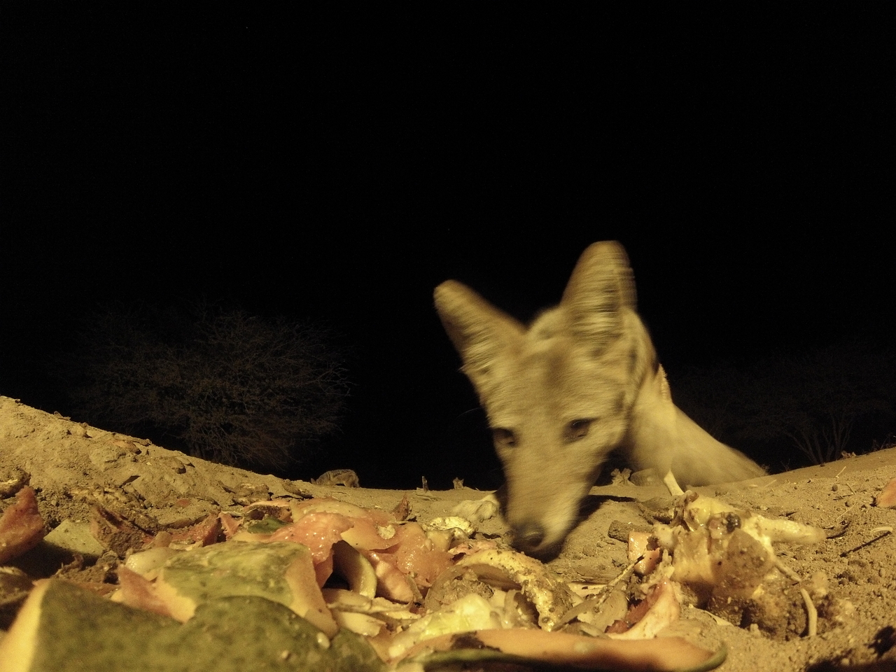 [9932] 2016_06_23_18_48_03_Africa_Hero3-Silver_Edition_IMG__00555.jpg