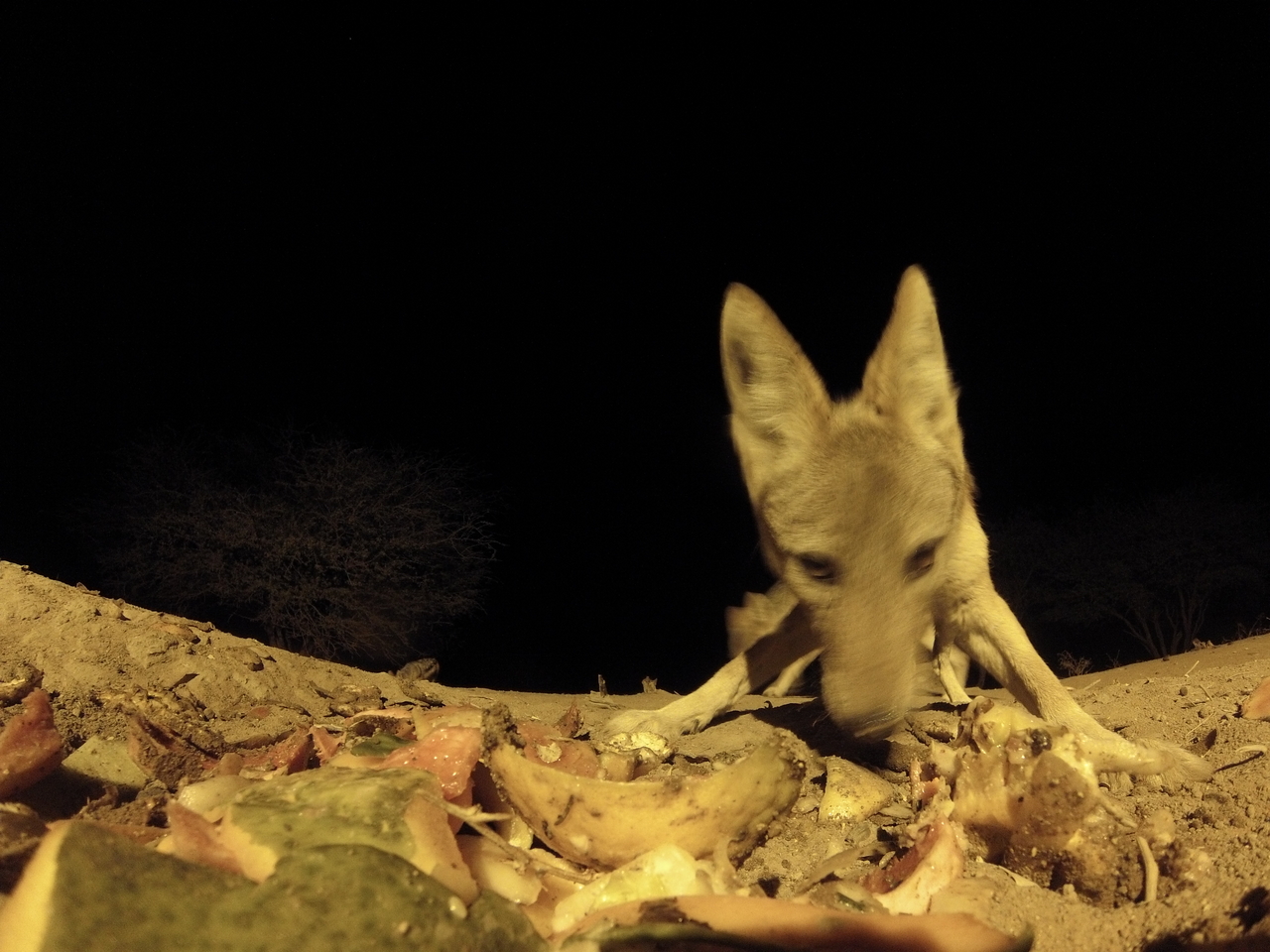 [9944] 2016_06_23_18_48_20_Africa_Hero3-Silver_Edition_IMG__00561.jpg