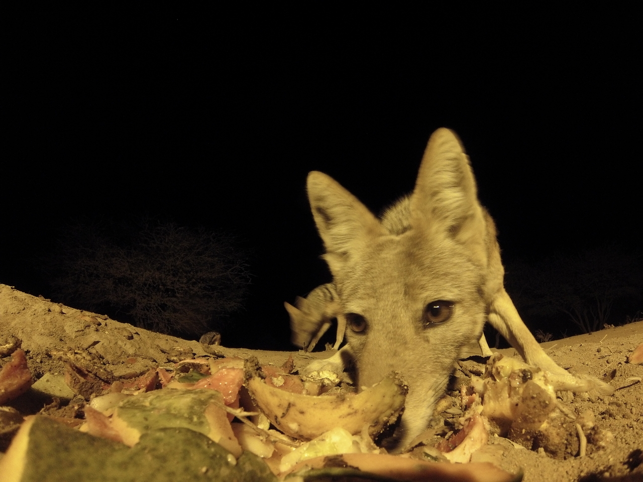 [9949] 2016_06_23_18_48_22_Africa_Hero3-Silver_Edition_IMG__00562.jpg