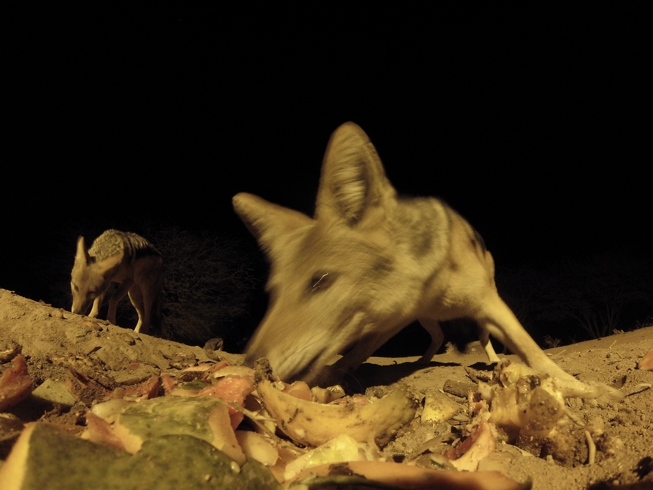 [9952] 2016_06_23_18_48_26_Africa_Hero3-Silver_Edition_IMG__01011.jpg