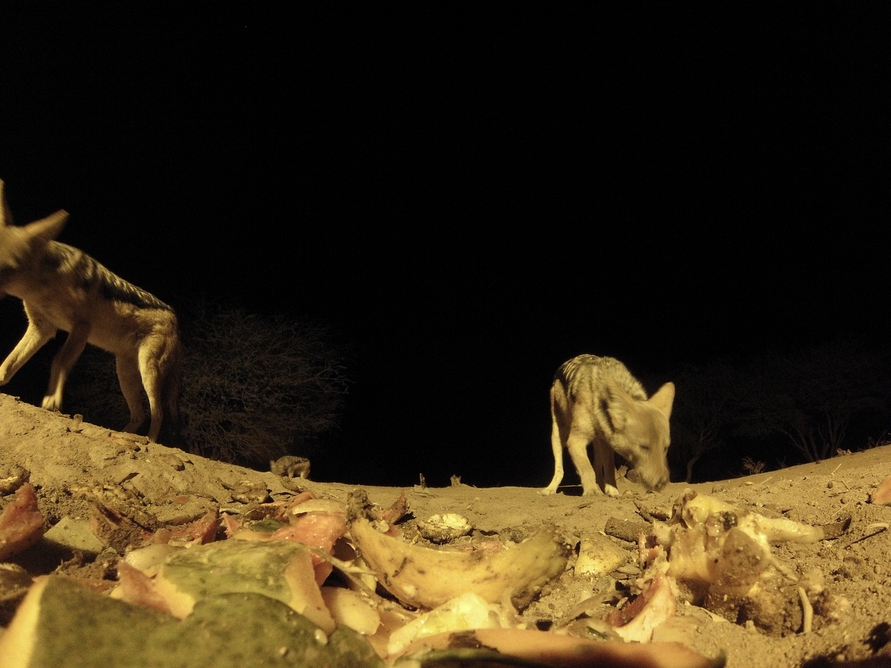 [9957] 2016_06_23_18_48_31_Africa_Hero3-Silver_Edition_IMG__00566.jpg