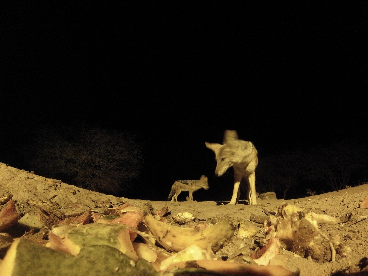 [9960] 2016_06_23_18_48_35_Africa_Hero3-Silver_Edition_IMG__01015.jpg