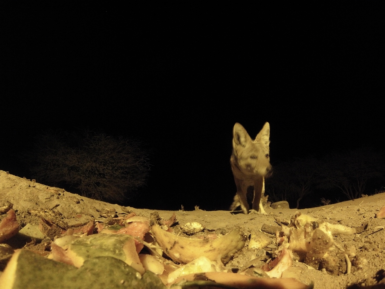 [9962] 2016_06_23_18_48_37_Africa_Hero3-Silver_Edition_IMG__01016.jpg