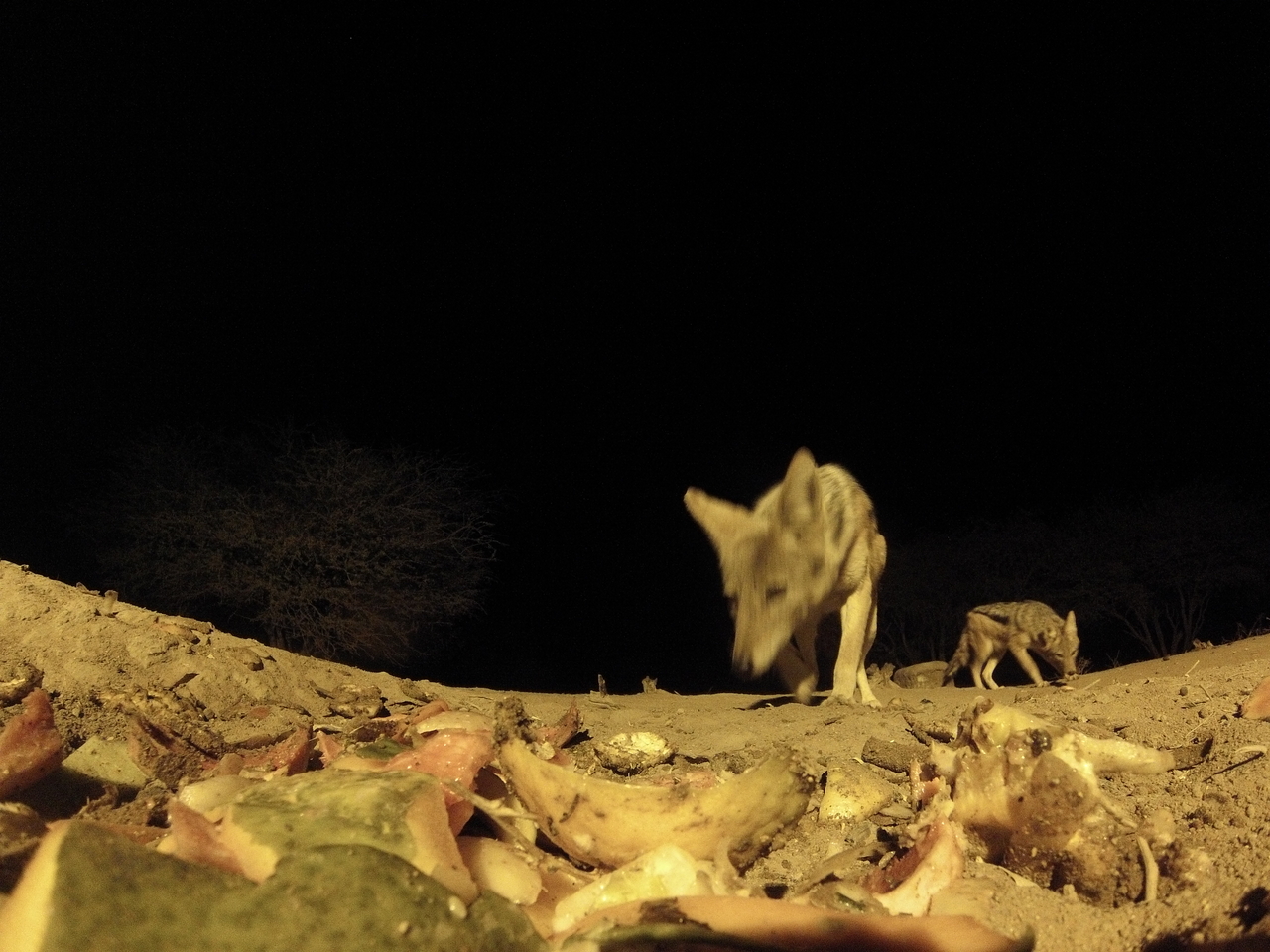 [9963] 2016_06_23_18_48_39_Africa_Hero3-Silver_Edition_IMG__00569.jpg